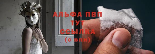 ГАЛЛЮЦИНОГЕННЫЕ ГРИБЫ Вязники