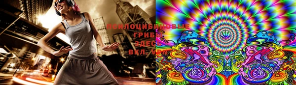 ГАЛЛЮЦИНОГЕННЫЕ ГРИБЫ Вязники