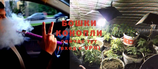 MESCALINE Вяземский
