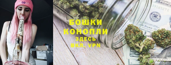 ГАЛЛЮЦИНОГЕННЫЕ ГРИБЫ Вязники